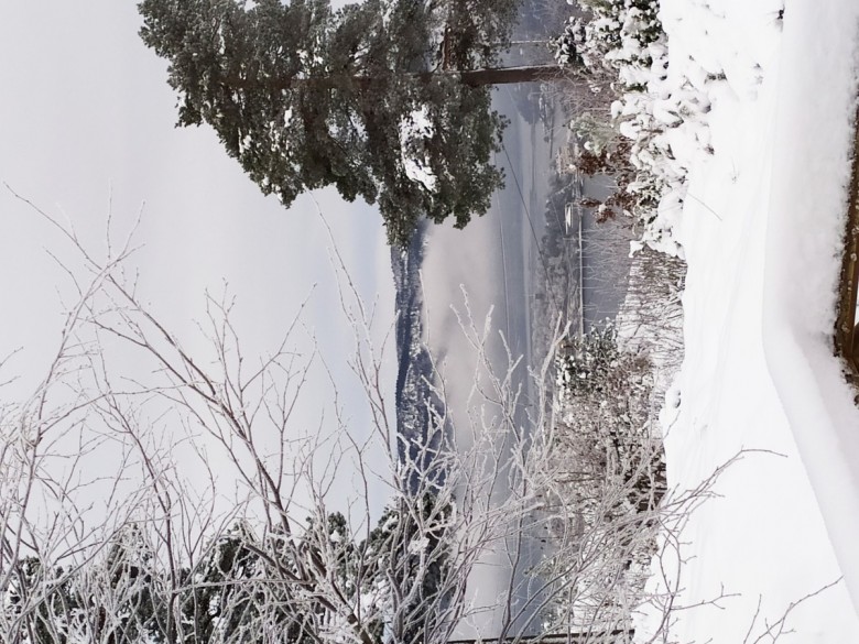 Wiolus1982  (Wiolus1982), Drøbak, Łask