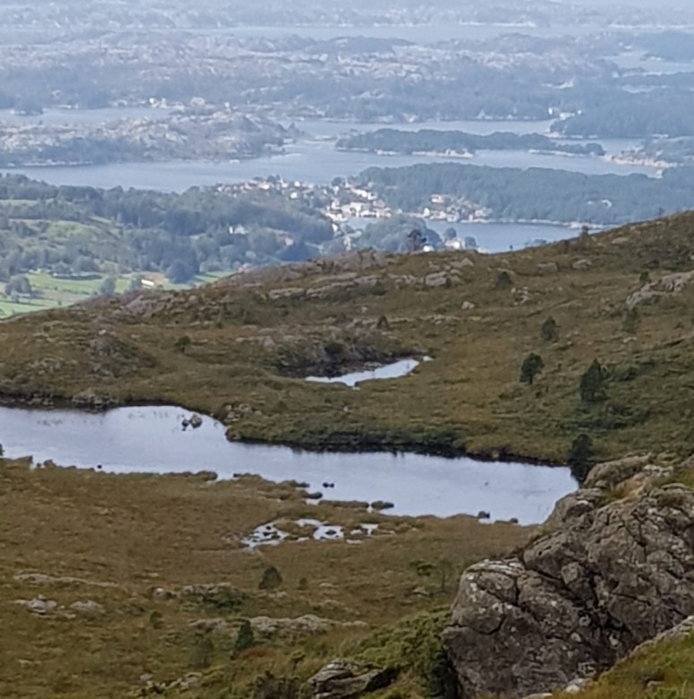 Barbara Konkel  (Barbara Konkel)