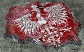 Arek Stachów (ArekStachow)
