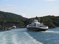 Iwona Chrapko (iwka.norge), pipidowka