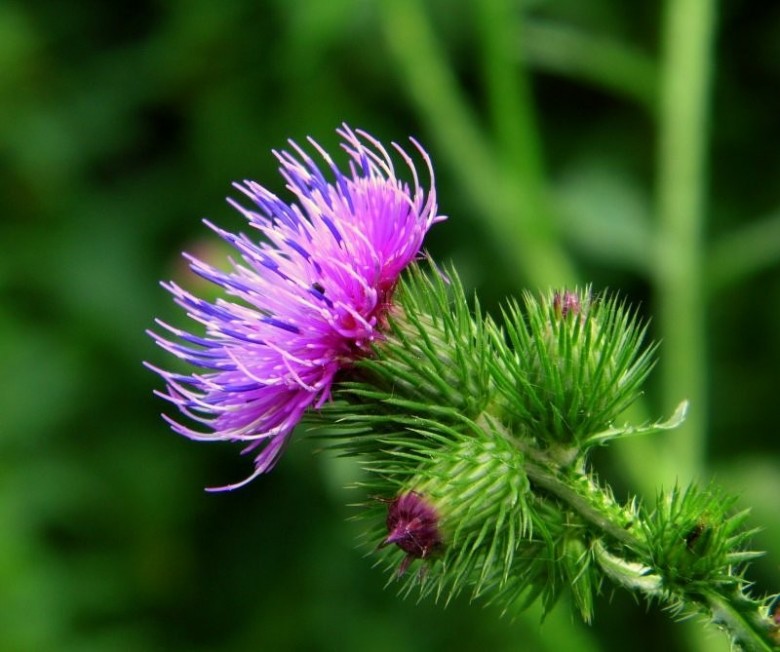 Piotr Rzeniecki (Rzenia580), Sandefjord, Starogard GDAŃSKI