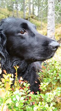 bogusia grejner (bogusia620@onet.pl), Namsos, Lodz