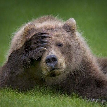 Jonatan Zaleski (JonatanZaleski)