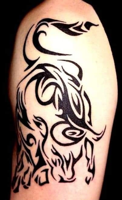 Rafał 1234  (Rafał 1234)