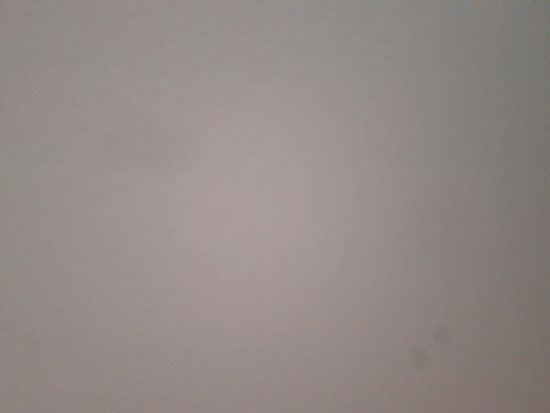 Piotr Bielinski  (Piotr Bielinski)