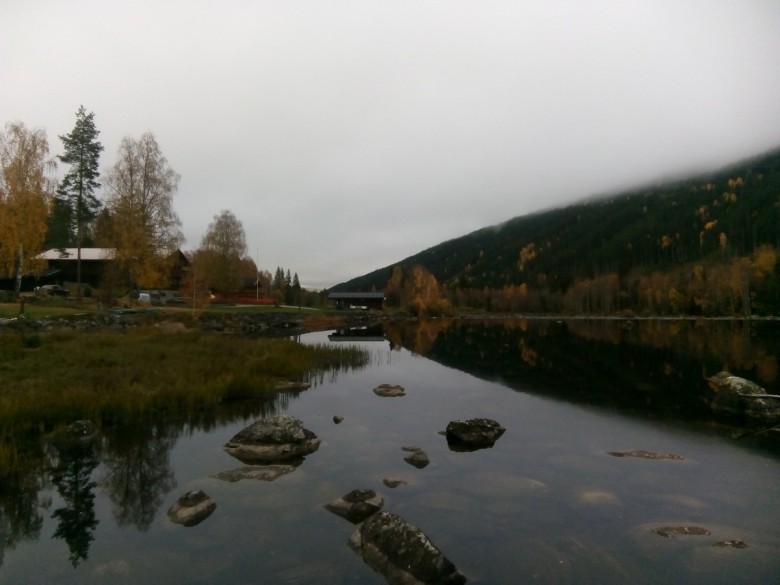 Grzesiak  (Grzesiak)