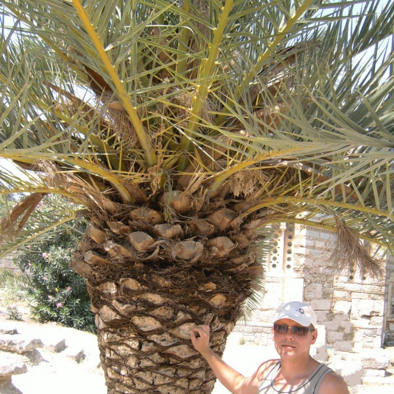 Dariusz Jamer (DariuszJamer), Słubice