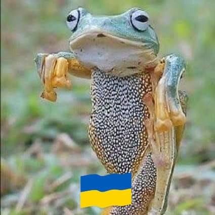 Monia Dąbrowska (MoniaDabrowska), Łódź