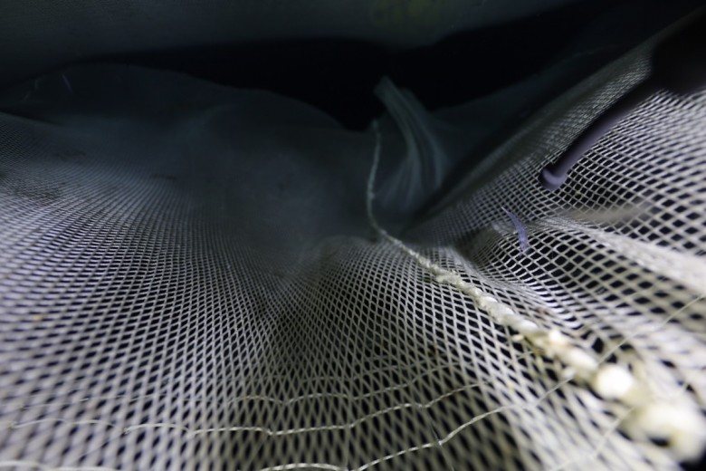 mirosako  (mirosako)