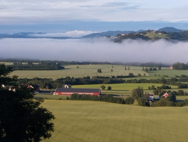 Agnieszka0401  (Agnieszka0401)