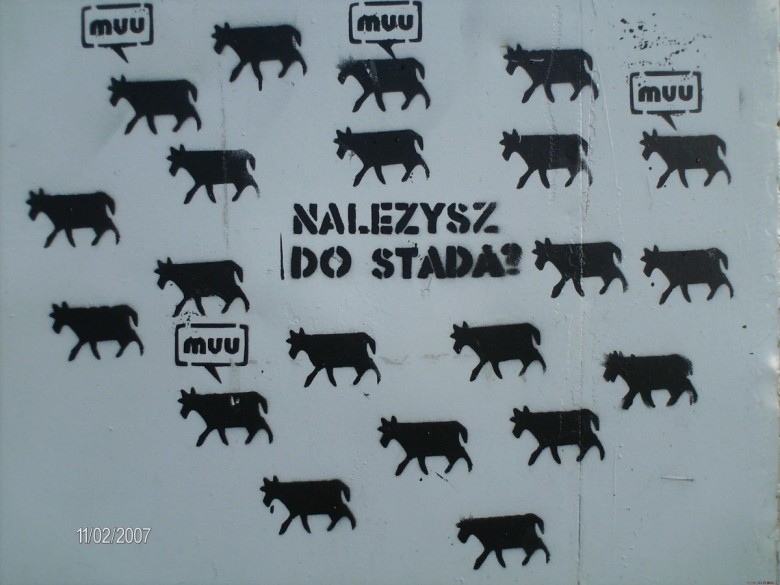 Rob Mark (RobMark), Oslo, Koszalin