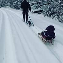 Piotr Matusik (PiotrMatusik), Grybów