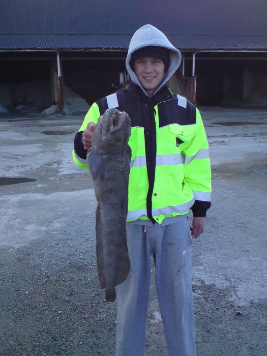 simon stanlay (simon85), trondheim, poznan