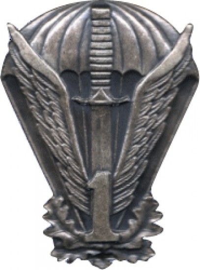 Roman Orlik (WithOutWingman25), Radom