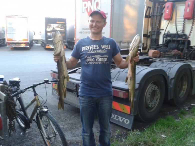 ADAM D (HUDZINA), chojnice