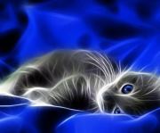 ela protczak (eella), bergen, koszalin