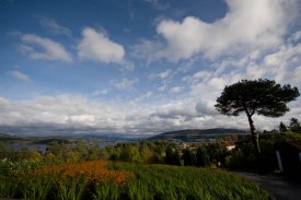 Karolina Radecka (kinka22), Bergen, Oborniki Śląskie