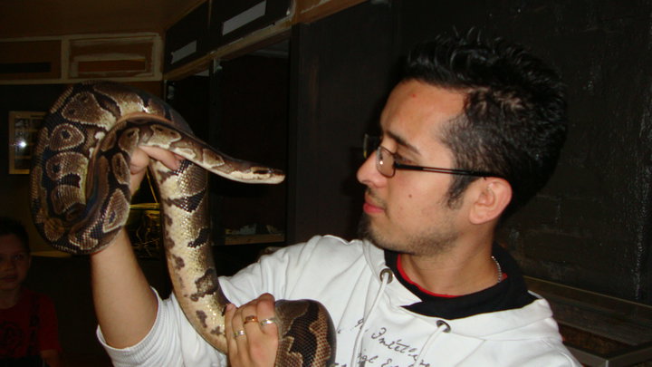 braulioroberto (roberto gomez)