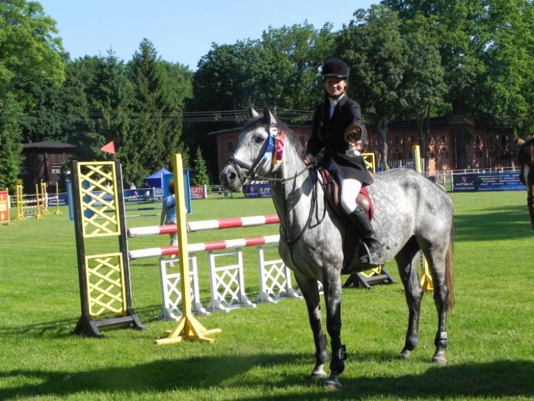 Paula Tatiana (elegance172), Szukam pracy w No. Mam uprawnienia, xyz