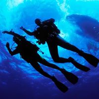 Wojtek Keczkowski (wke), Zielona Gora