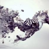 kristian k (kristoffero), drammen, małopolskie 