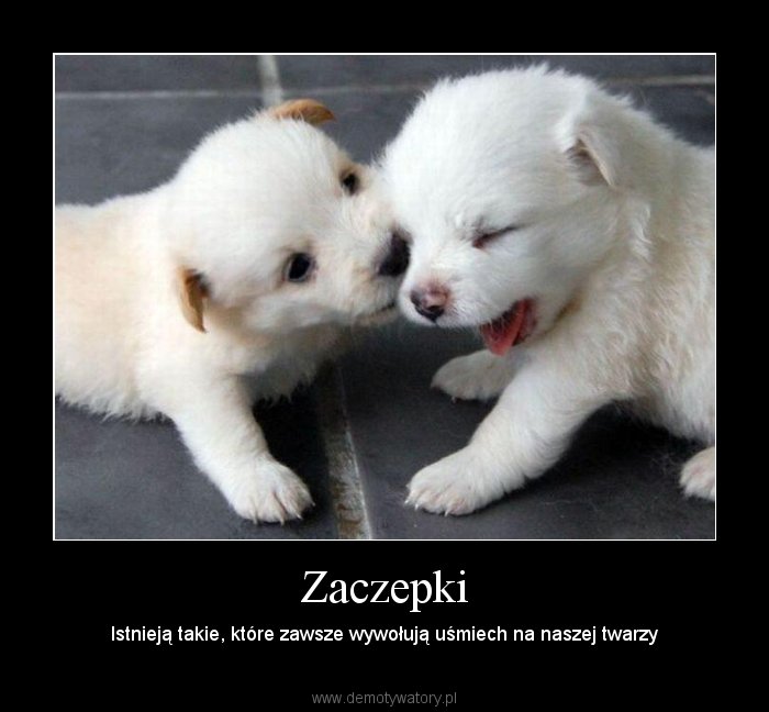 Anna M (Niania), Oslo, Radom