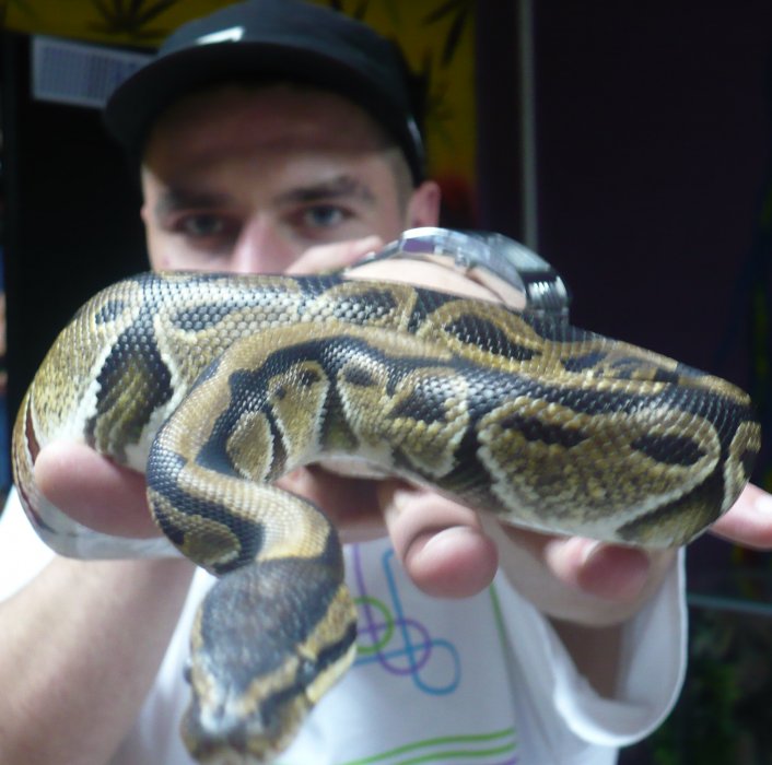 FiodorTeodor (Łukasz xxxxx)