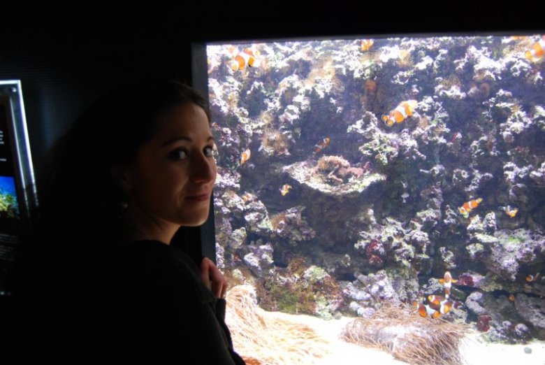 Aga D/L (Agucha), Augustów 