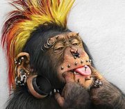 danielos w (chlopaczyna), oslo