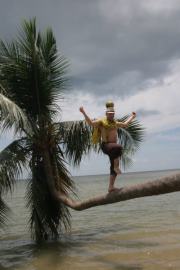 Patryk Lisowski (lis83)