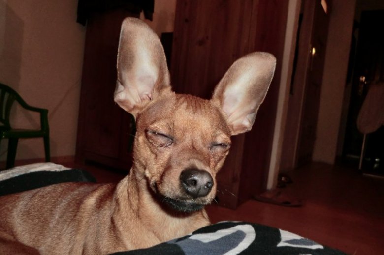 robertosik12345 kruczynski (kruk1234567890), oslo, swiecie