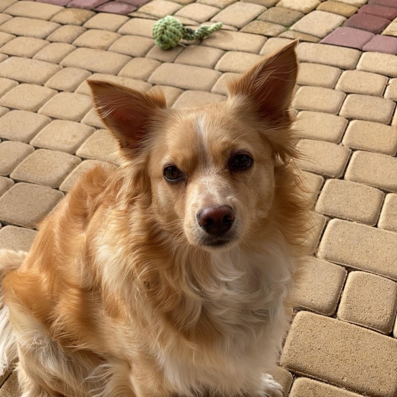 krzysztof ciok (krzysztofc), oslo, malbork