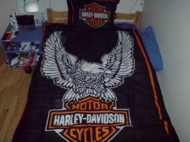 Andrzej B. (remmek1), Oslo, Zabrze