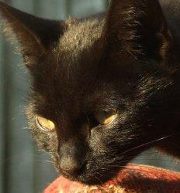 Magdalena B. (mag1988), Oslo, Kielce