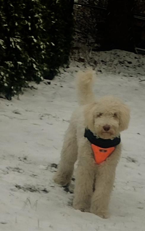 magdaLENA05 (Magdalena Ch.)