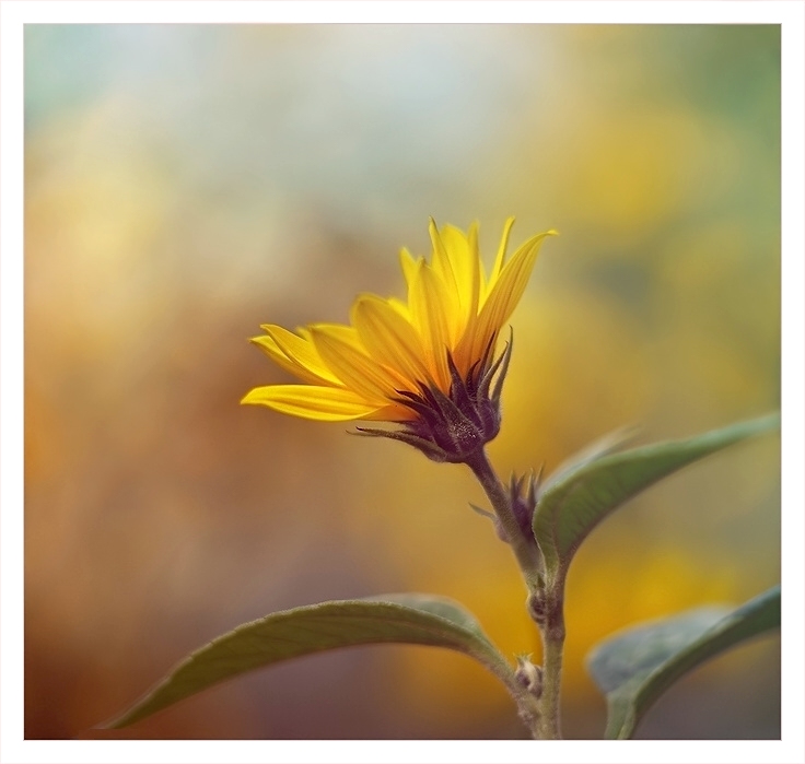 W.T. S. (wts), okolice Oslo, Szczecin