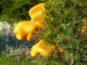 J Kwiatkowski (Kwiatkowsky Ltd), Oslo, Szczecin