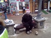 Paweł Trepkowski (pmexpert), okolice Starogardu Gd