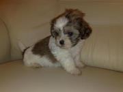 Tomasz Szklarski (TomaszSzklarski), Sarsborg., Ciechocinek.