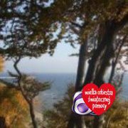 Bożena Lewna (BozenaLewna)