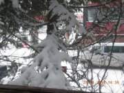 Bernard Adamczak (BernardAdamczak)