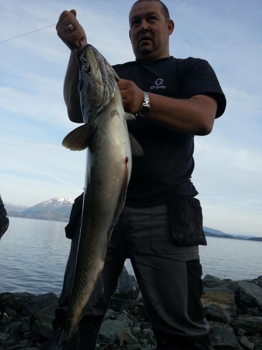 jfktransporter (Radek Ibek)