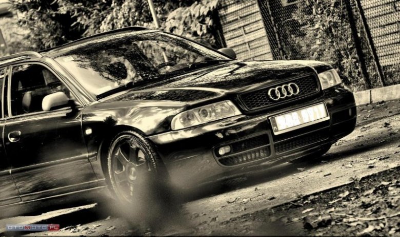 mariusz zdończyk (romario300)