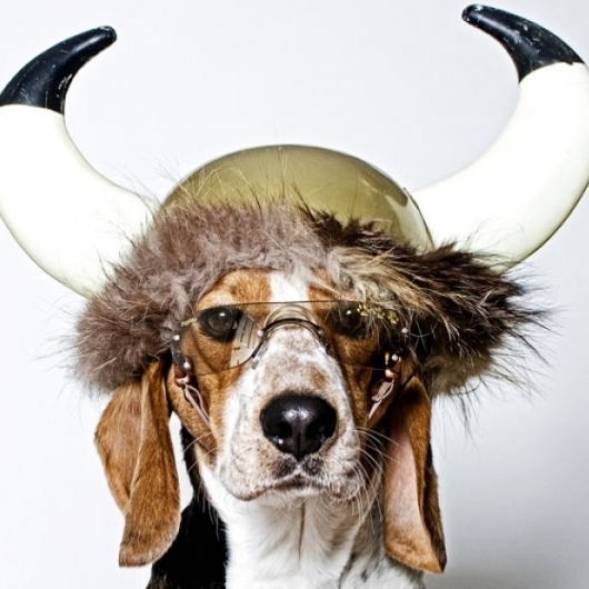 Patryk PL (D4BN0R), Trójmiasto