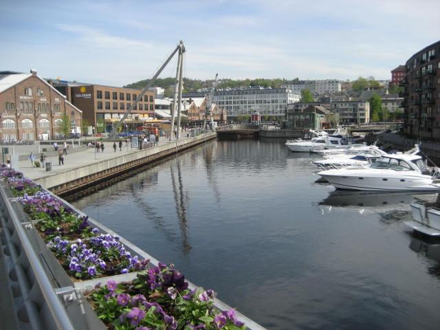 Roman Sztojko (Romek1705), Małomice