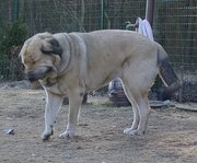 Piotr Frąckiewicz (PiotrFrackiewicz)