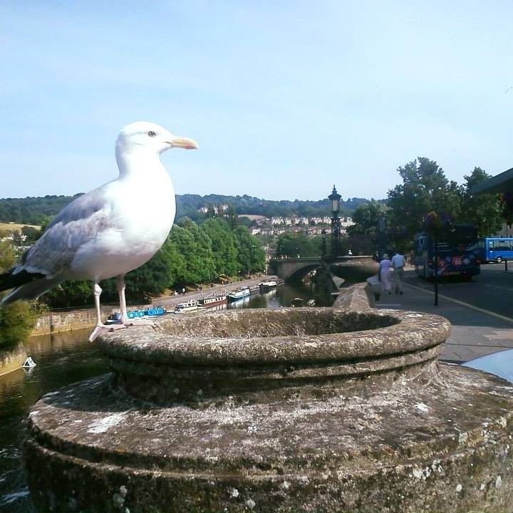 Jadwiga Kędziora (JadwigaKedziora), Szczecin