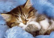 Piotr Bełtowicz (PiotrBeltowicz)