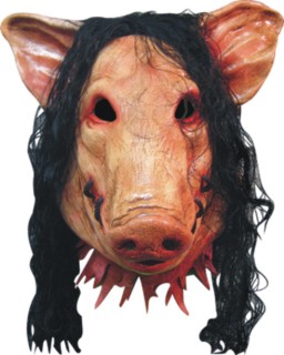 Mariusz Góral (manolo), Bergen, Stąporków