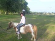 Grzegorz Nowomiejski (Gregor78), Alesund, szczecin